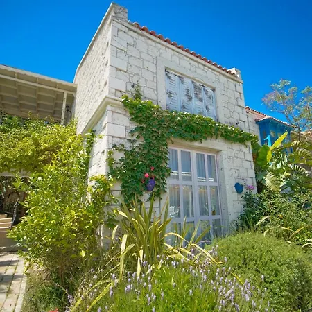 宾馆 阿拉恰特码头皇宮民宿