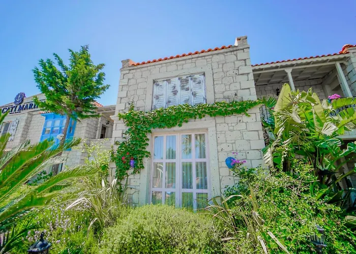 Marina Palace