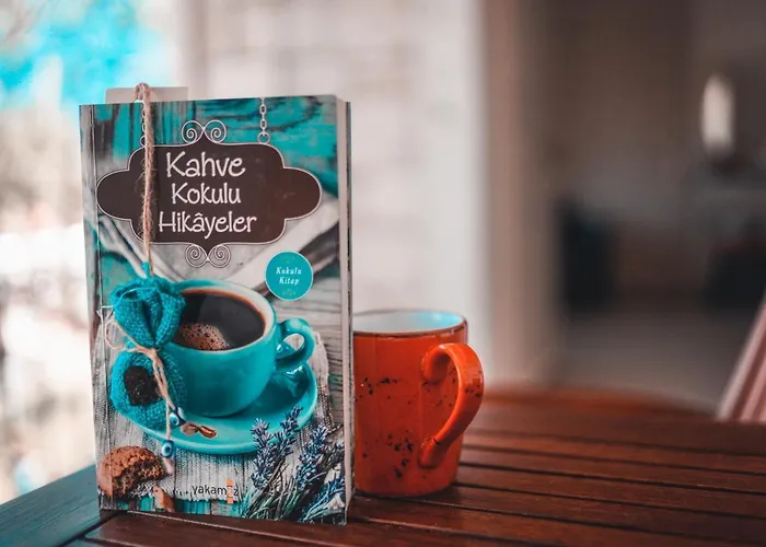 宾馆 阿拉恰特码头皇宮民宿 2*